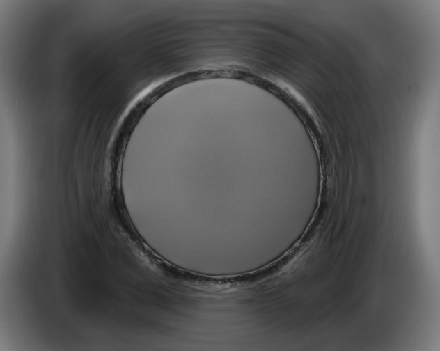 X0000086220975200704261833