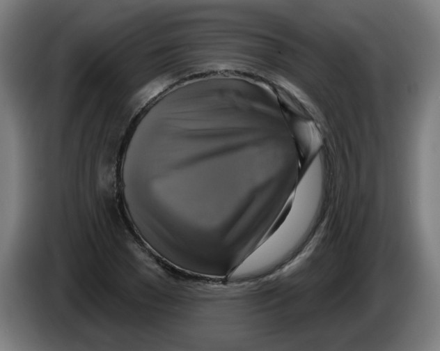 X0000086220977200704261833