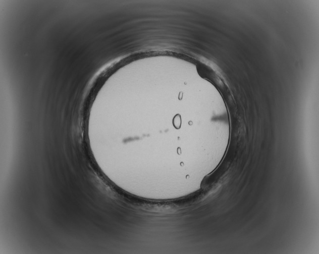 X0000086220979200704261833