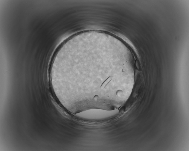 X0000086220980200704261833