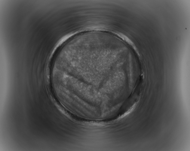 X0000086220981200704261833