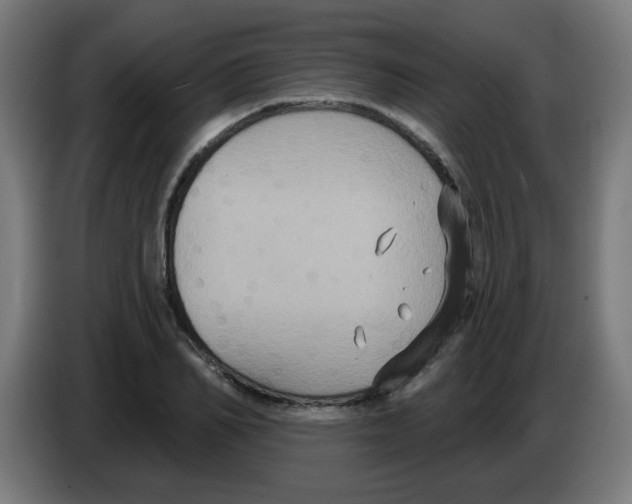 X0000086220982200704261833