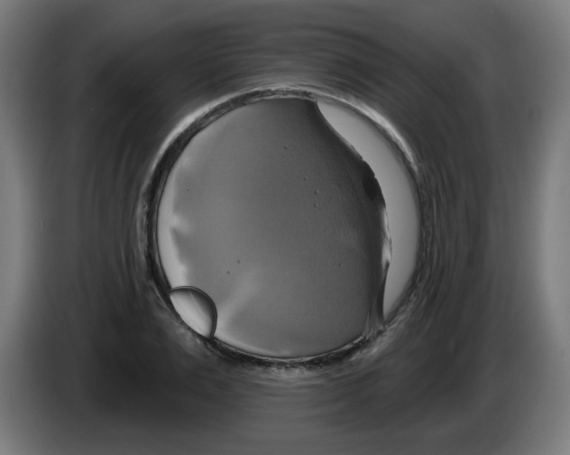 X0000086220983200704261833