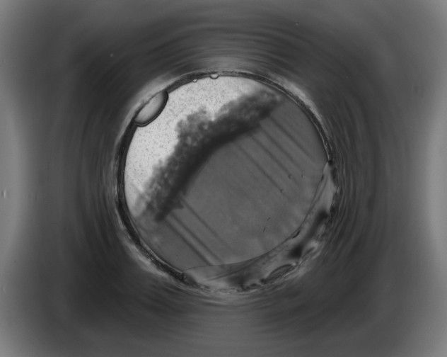 X0000086220987200704261833