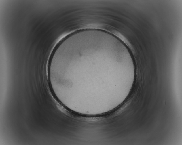 X0000086220988200704261833