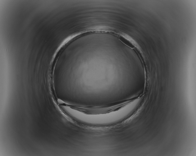 X0000086220989200704261833