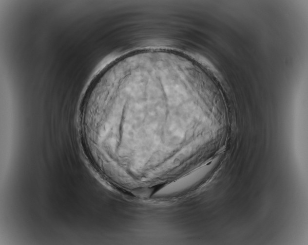 X0000086220990200704261833