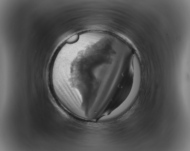 X0000086220991200704261833