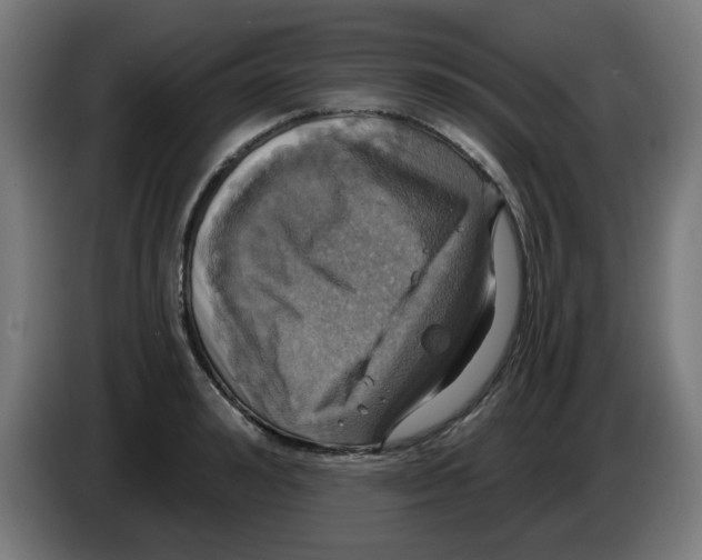 X0000086220992200704261833