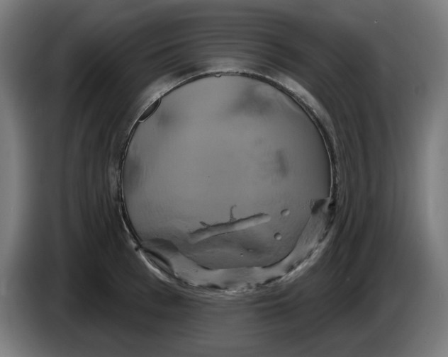 X0000086220993200704261832