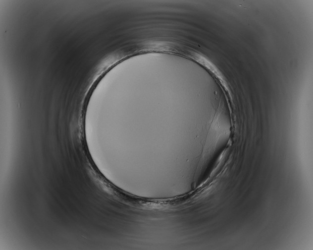 X0000086220994200704261832