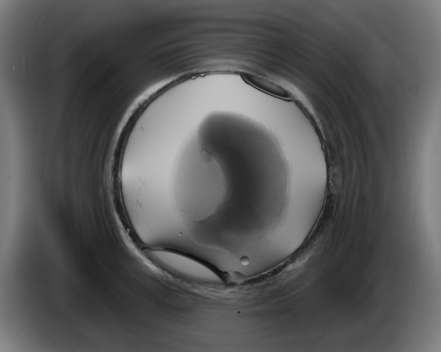 X0000086220995200704261832