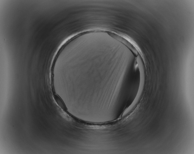 X0000086220996200704261832