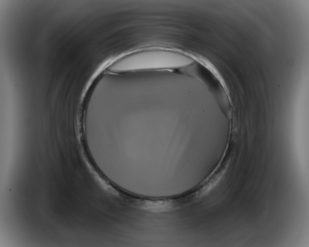 X0000086220997200704261832