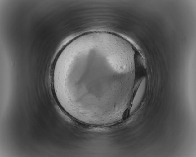 X0000086220998200704261832