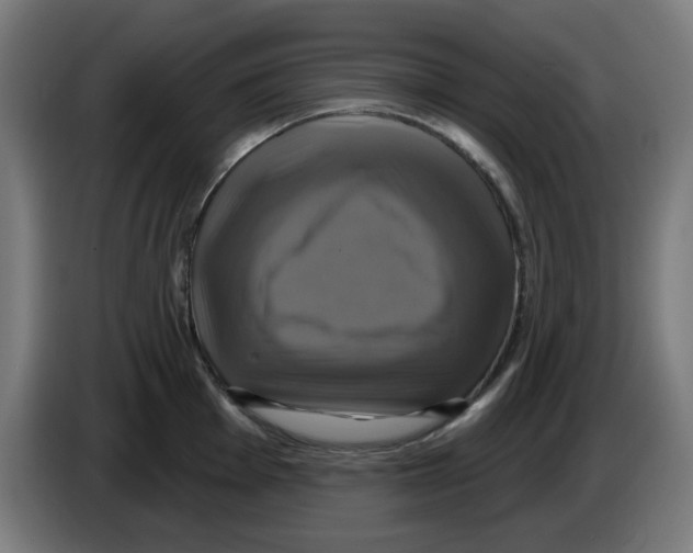 X0000086221001200704261832