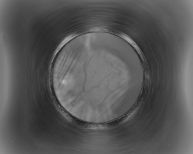 X0000086221002200704261832