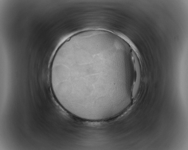 X0000086221004200704261832