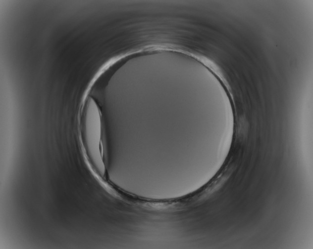 X0000086221005200704261832