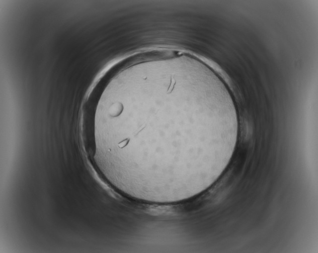 X0000086221006200704261832