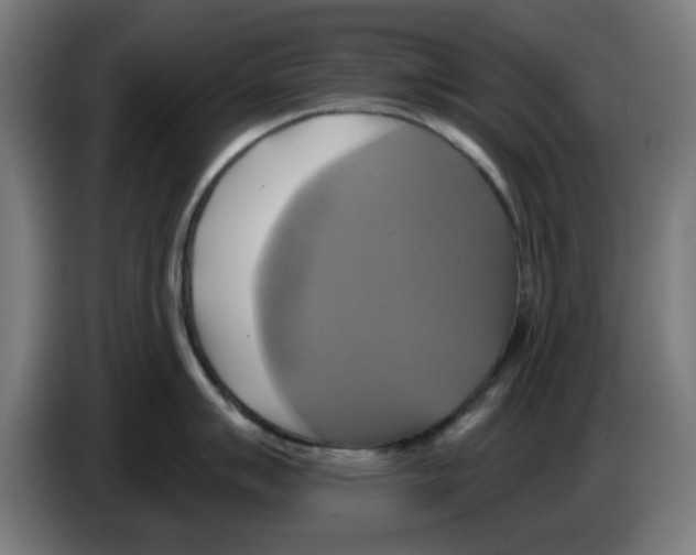 X0000086221007200704261832