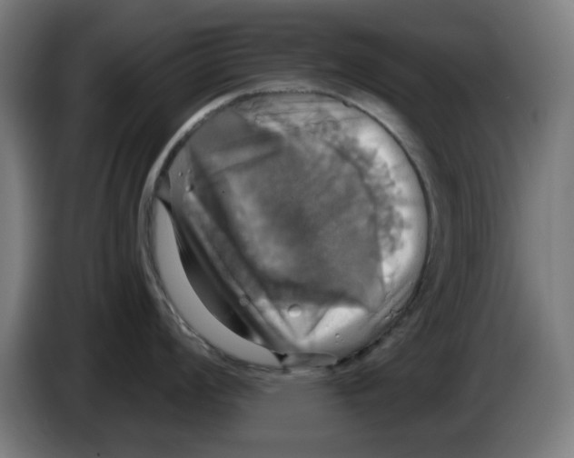 X0000086221008200704261832