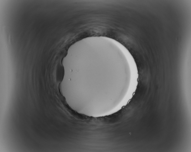 X0000086221009200704261832