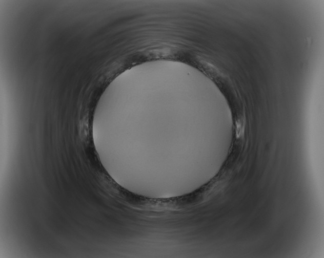 X0000086221011200704261832