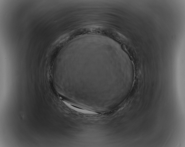 X0000086221014200704261832