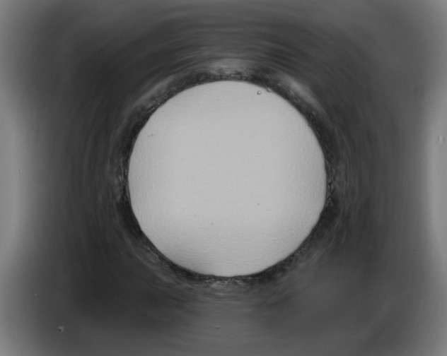 X0000086221015200704261832