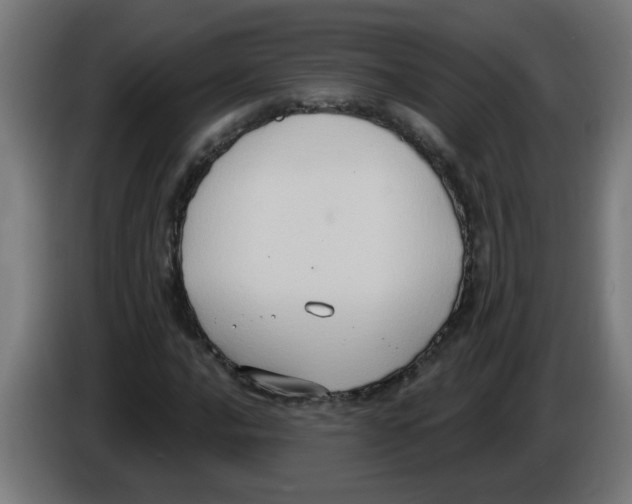 X0000086221016200704261832