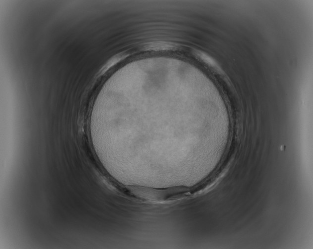 X0000086221017200704261832