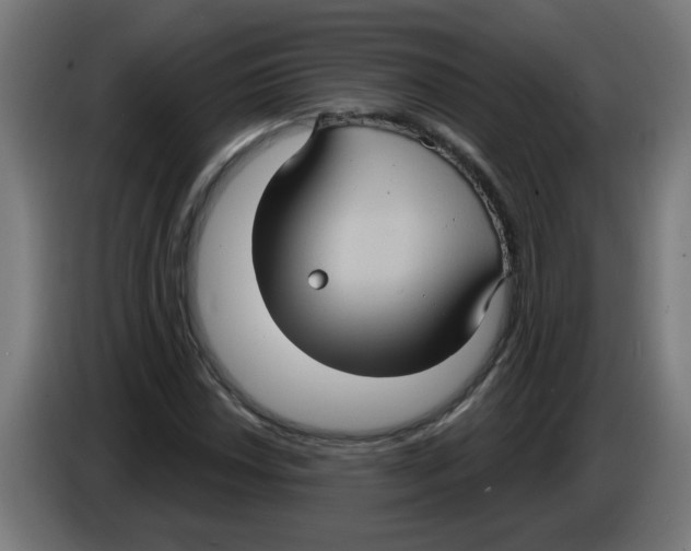 X0000086221018200704261832