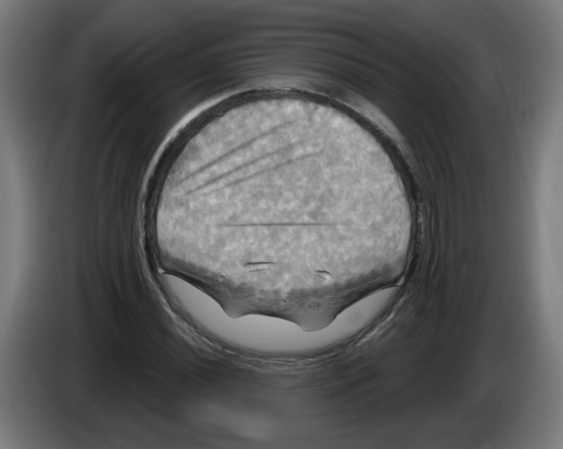 X0000086221020200704261832