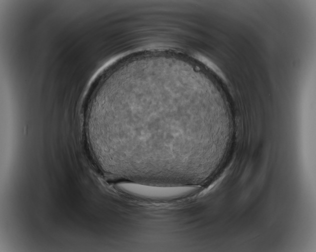 X0000086221021200704261832