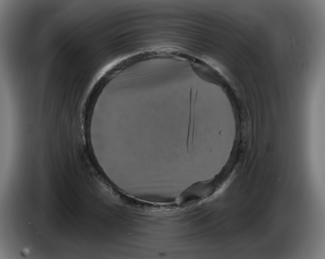 X0000086221022200704261832