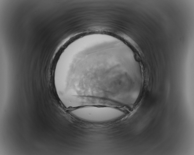 X0000086221023200704261832