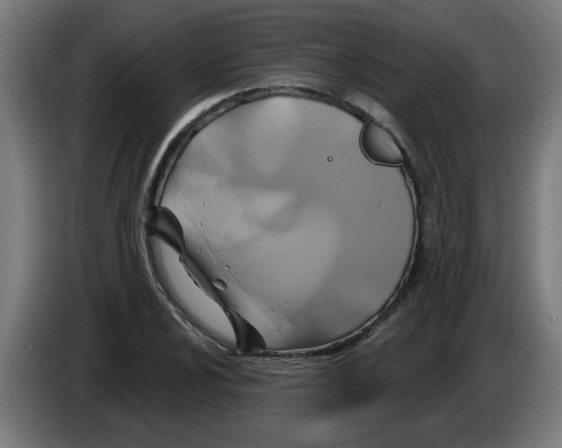 X0000086221024200704261832