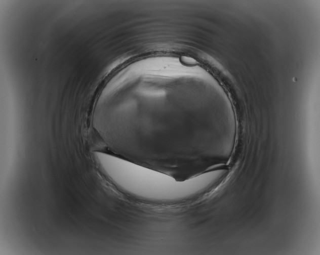 X0000086221025200704261832