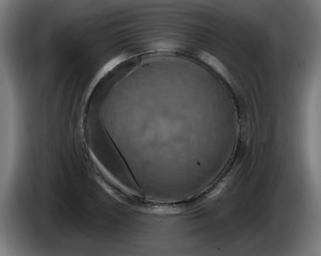 X0000086221026200704261832