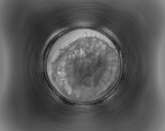 X0000086221027200704261832