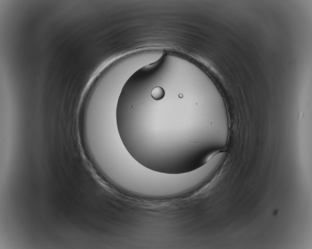 X0000086221030200704261832