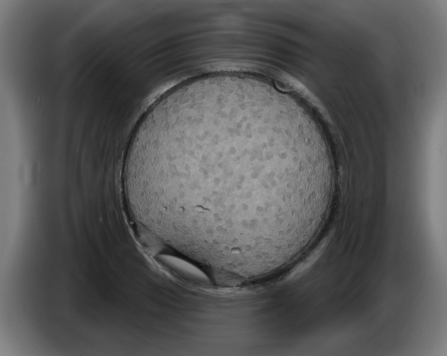 X0000086221033200704261832