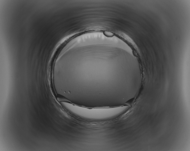 X0000086221035200704261832