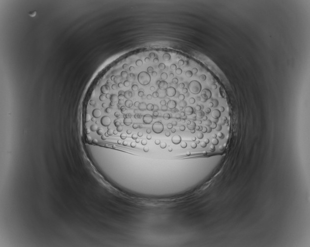 X0000086221036200704261832