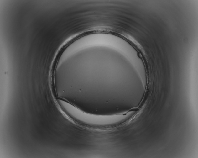 X0000086221037200704261832