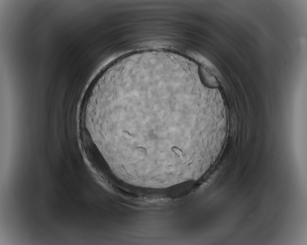 X0000086221039200704261832