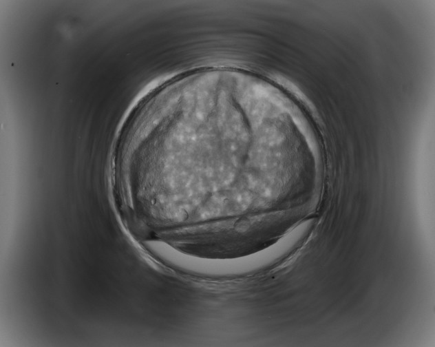 X0000086221040200704261832