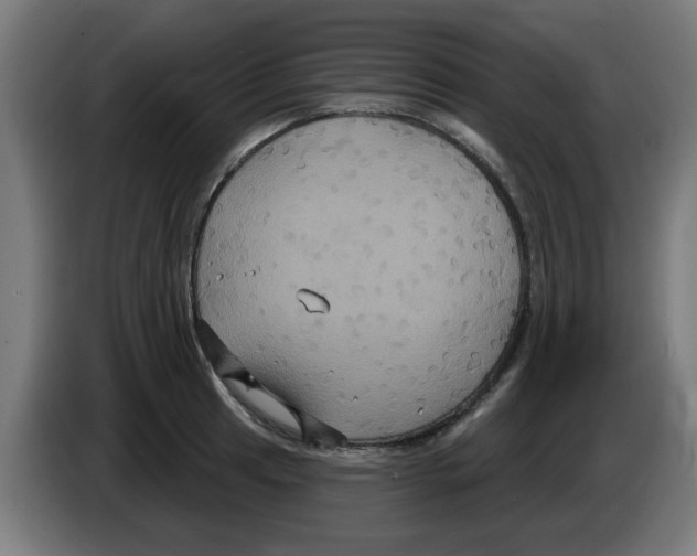 X0000086221041200704261832