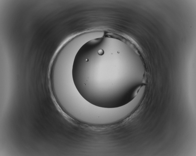 X0000086221046200704261832